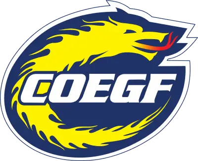 Logo COEGF